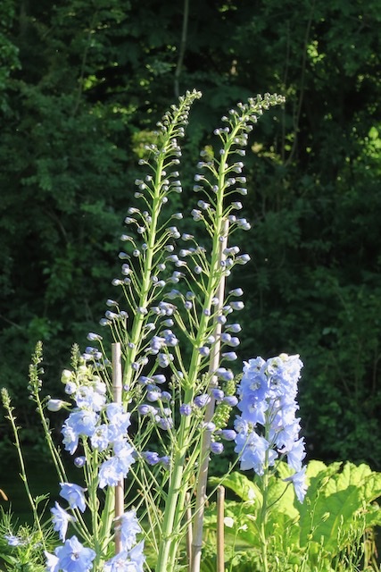 A4D25302-3508-4F9B-8B05-5247434E922C