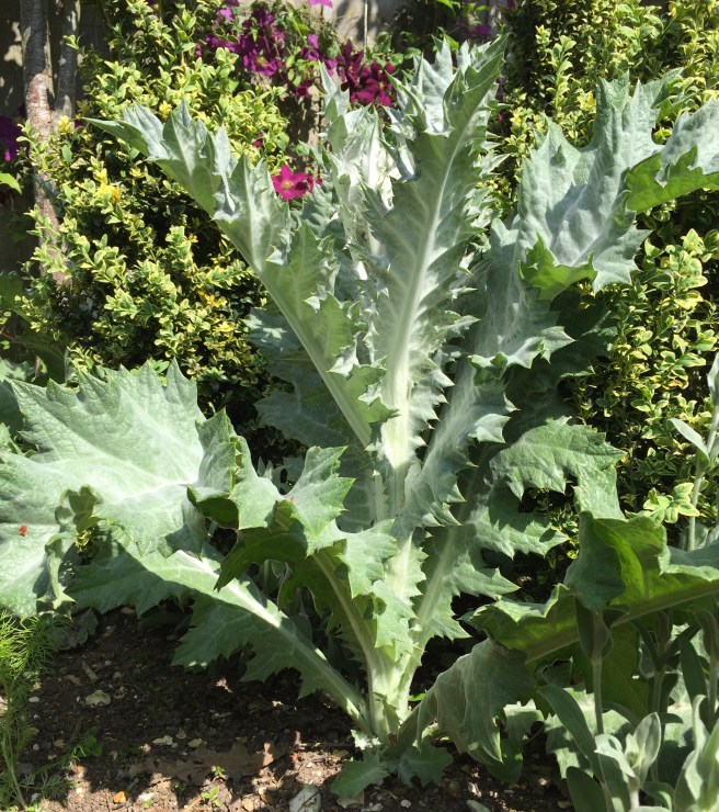 ABA1FEED-7AA3-4764-9B54-794A229E51FB