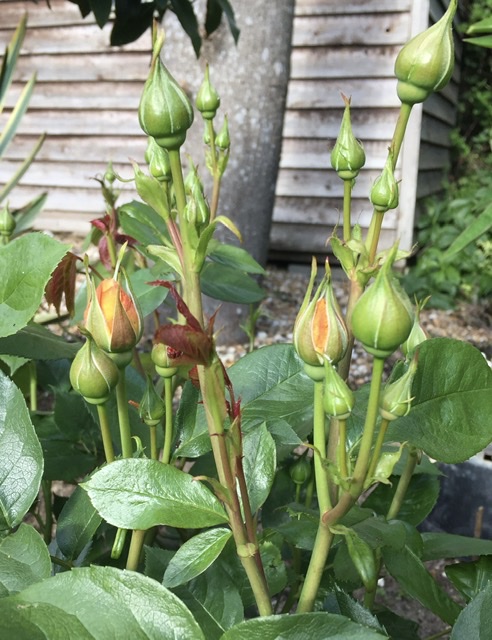 B1F39A63-6CB3-4862-9BFE-69CA9AF086B3