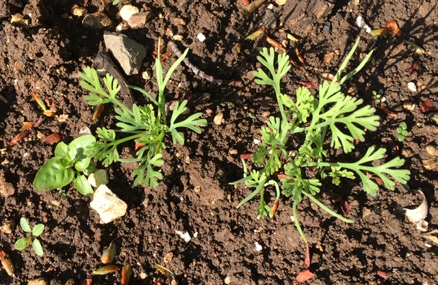 BCA0928C-E66F-44D3-87D9-D085A8552767