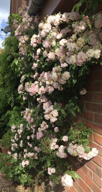 C05F71DA-7DEC-459C-BFC5-997BE3572CAE