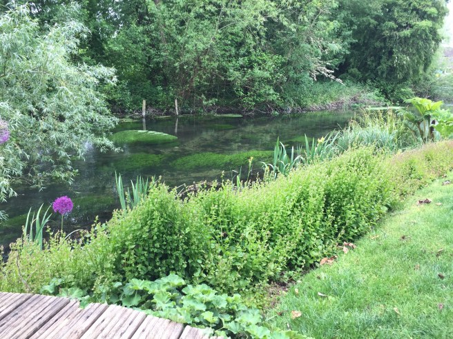 C221B819-4821-46AA-A46F-EA69D5955AD0