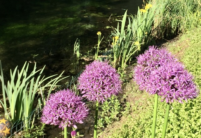 C3304DB1-A0E7-4D88-B99A-B82F5E885599