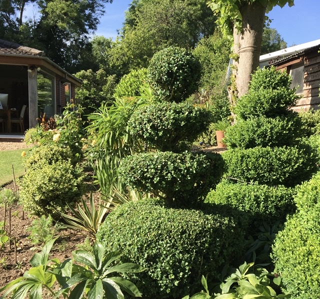 C4F46CF2-CA21-41BF-A6B9-9799A18BAB99