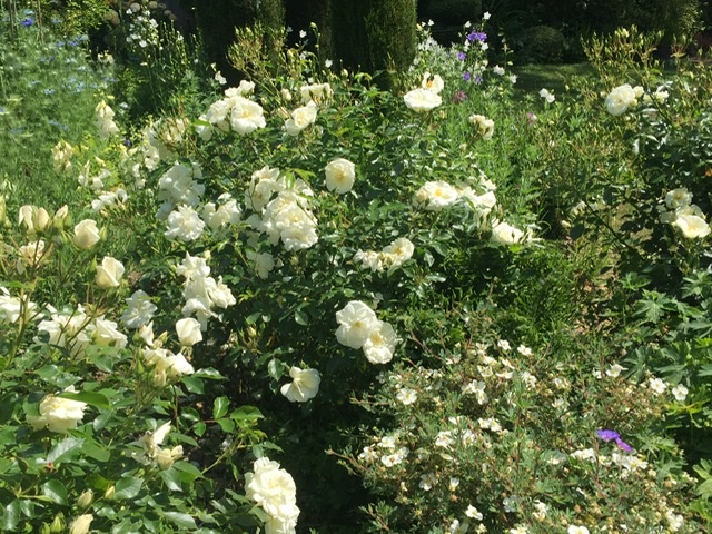 CE7CCA64-9B8C-4AD0-AF7D-0078DA2ABC4B