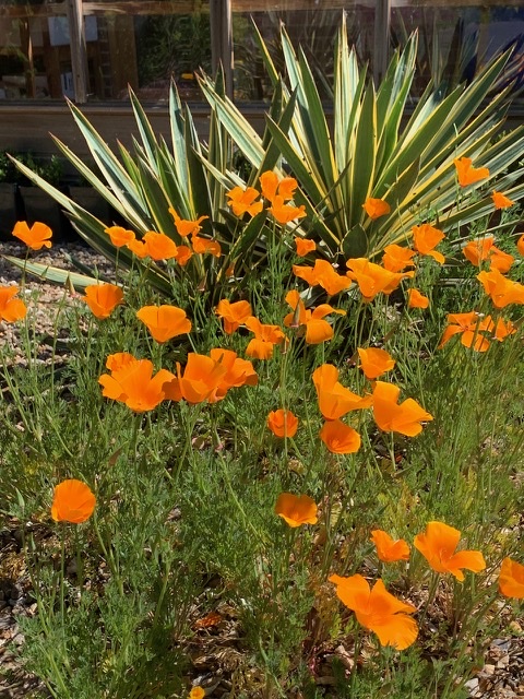 D514DE11-B930-4691-843C-D5910F291499