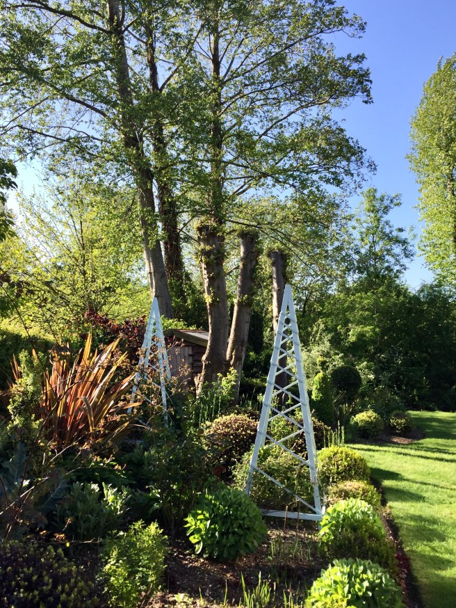 E5BF6918-E959-45E1-B7FD-876A7E483EF6