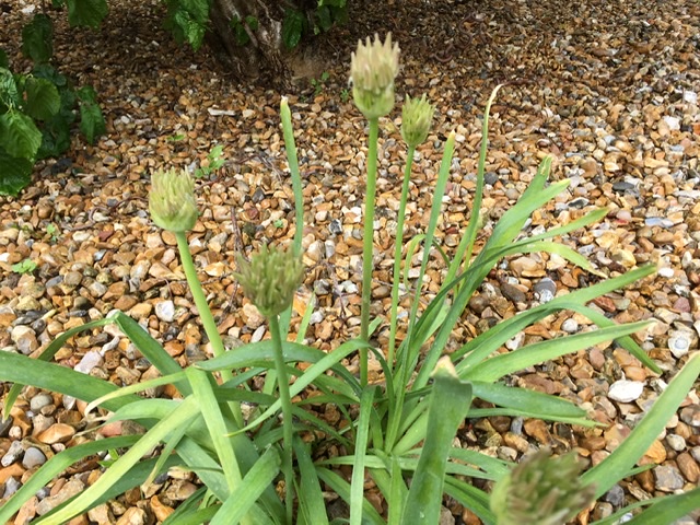 ECD8075B-014B-4402-BFDD-56CA5C9C827E