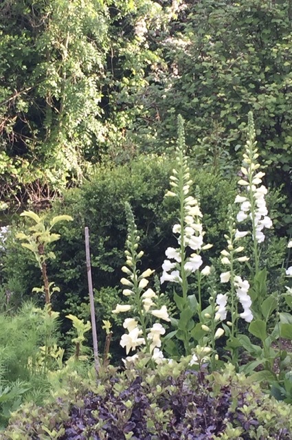 F88D6A95-76D9-41C9-B3A6-DAB716D8E9FE