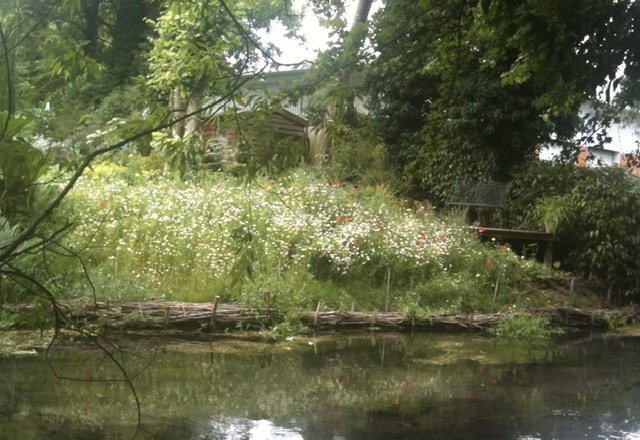 01C7C4BE-965B-469F-A787-D598586D5FBF