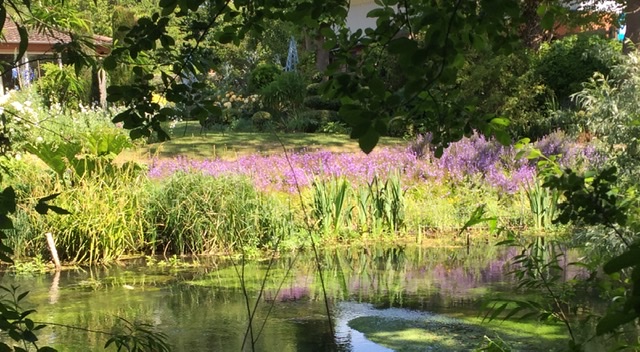 3B5E5DAB-889E-4B2E-A596-FDBE758ACA0D