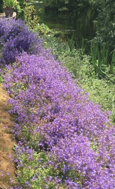 47CC0AFA-F9B3-42CD-A2E3-EC87630D660C