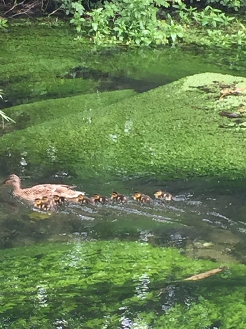 4AA75721-B2DD-41C4-8E66-108D034F6F4B