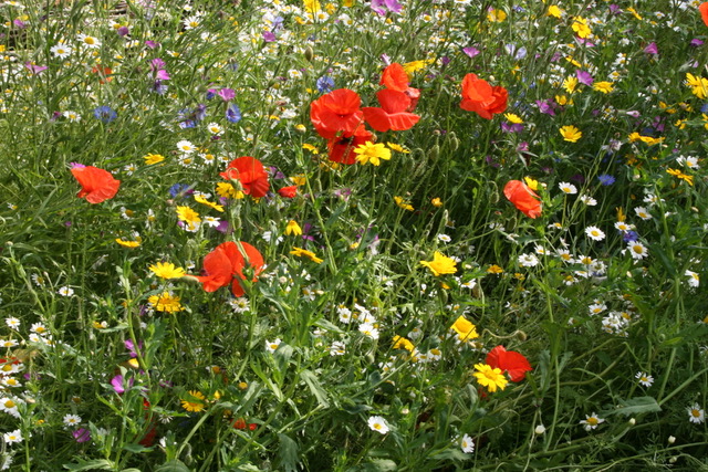 4F48A7D7-FCAB-45B6-9E51-5C531106FC80