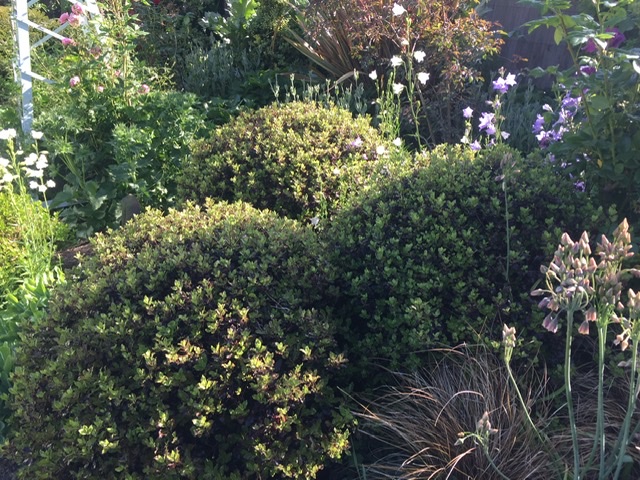 6E1988F4-E666-4E41-A43D-3EA0148DC883