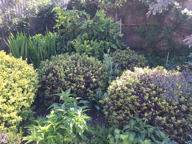 718D581D-6624-44E4-86E2-3FF35A27696F