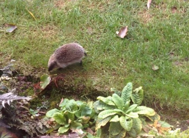 8306ABDA-45AD-4583-A843-4D7743CB2B4C