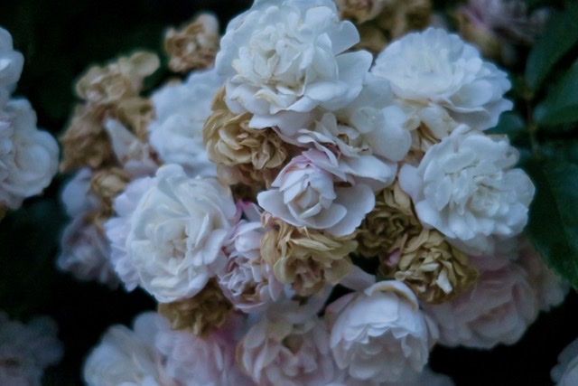 9AAEE927-00B0-4D80-8259-475DADB412C7