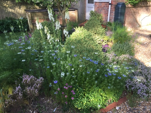 9DF0D008-D706-4B0C-B500-347422049D3D