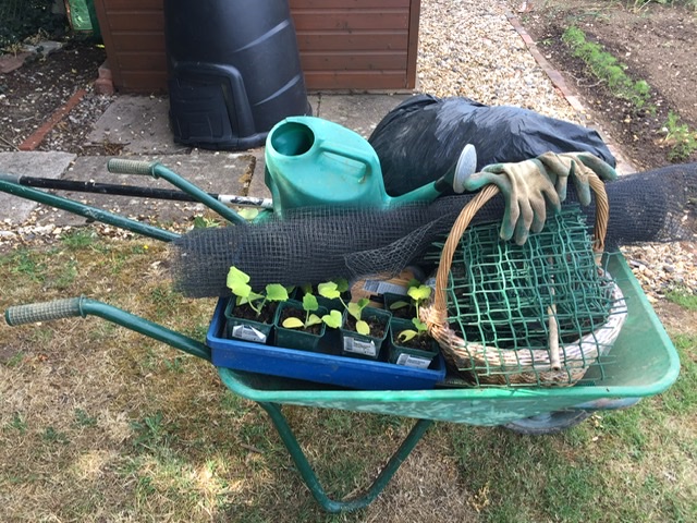 AE6BC717-93F7-4033-BF78-55AE3074E02D