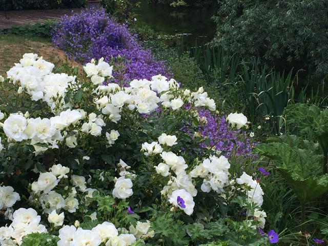 B234C552-3831-492D-A00F-B43705E49B06