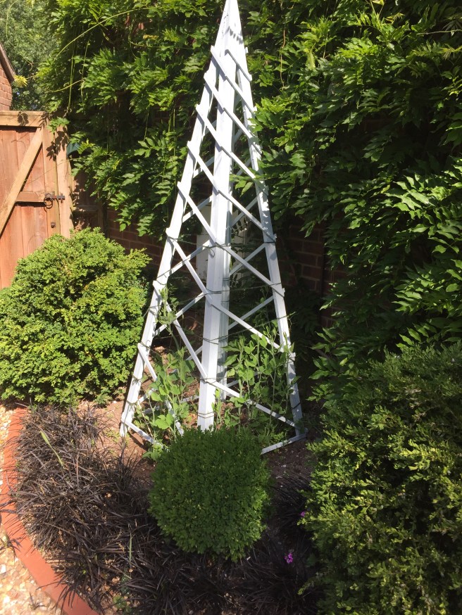 B9A7CFF6-4DFA-45FA-8E1E-3D8F7BF9A281