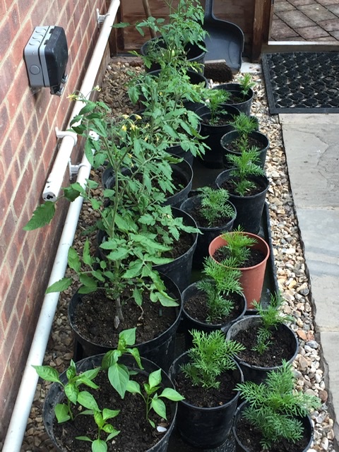 D3C93AF1-F3FC-42B0-A594-E9FE7471F3FC