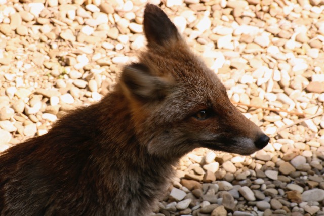 D52852B3-9359-43F1-9879-1CF9B9CC4A4F