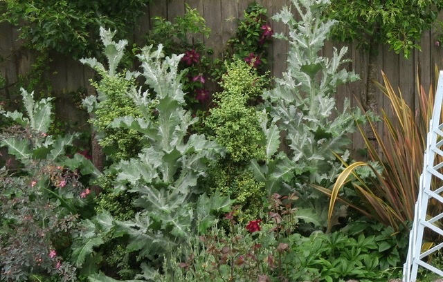 EE81CD44-67CC-4755-A6BA-EC9444E68B51