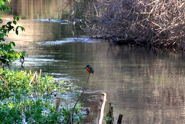 1703BEFD-6455-4E4D-8D11-5EBEDA9422F2