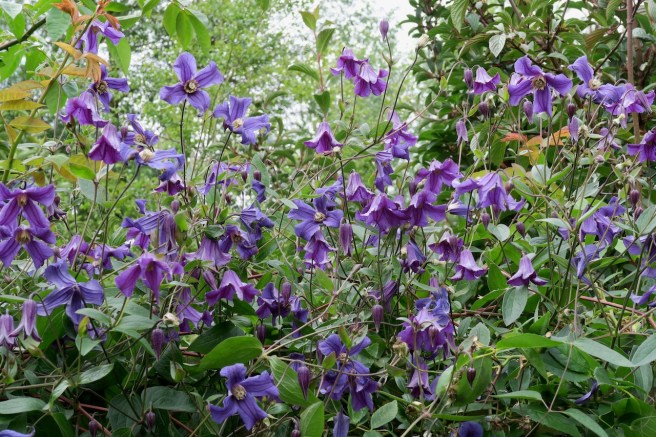 1BEC4E3B-A074-40EA-8B69-24820CD796CE