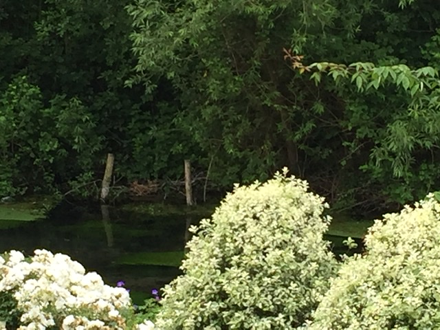 8D62DFF0-2C64-4DCE-8CE0-EE126DD05159