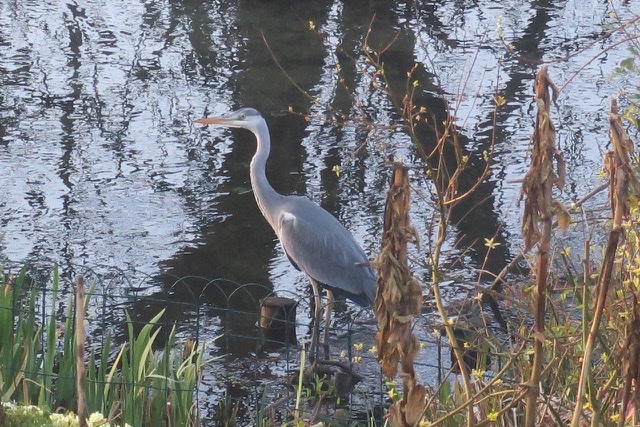 AD56E874-D700-4E75-A34F-1910D100F8AE