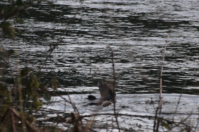 BB104D15-2603-4AC7-90ED-EC1B5EC5680C